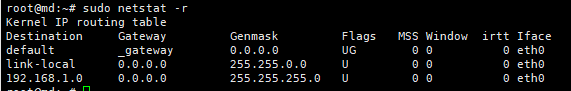 sudo netstat -r.png