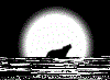 477.gif