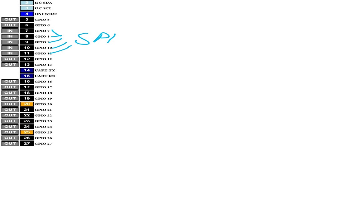 lis.jpg