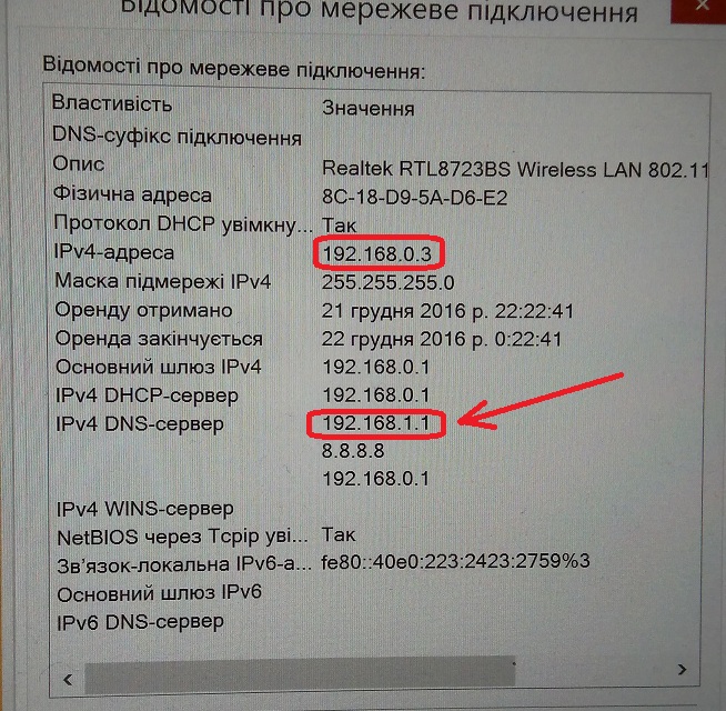 IP.jpg