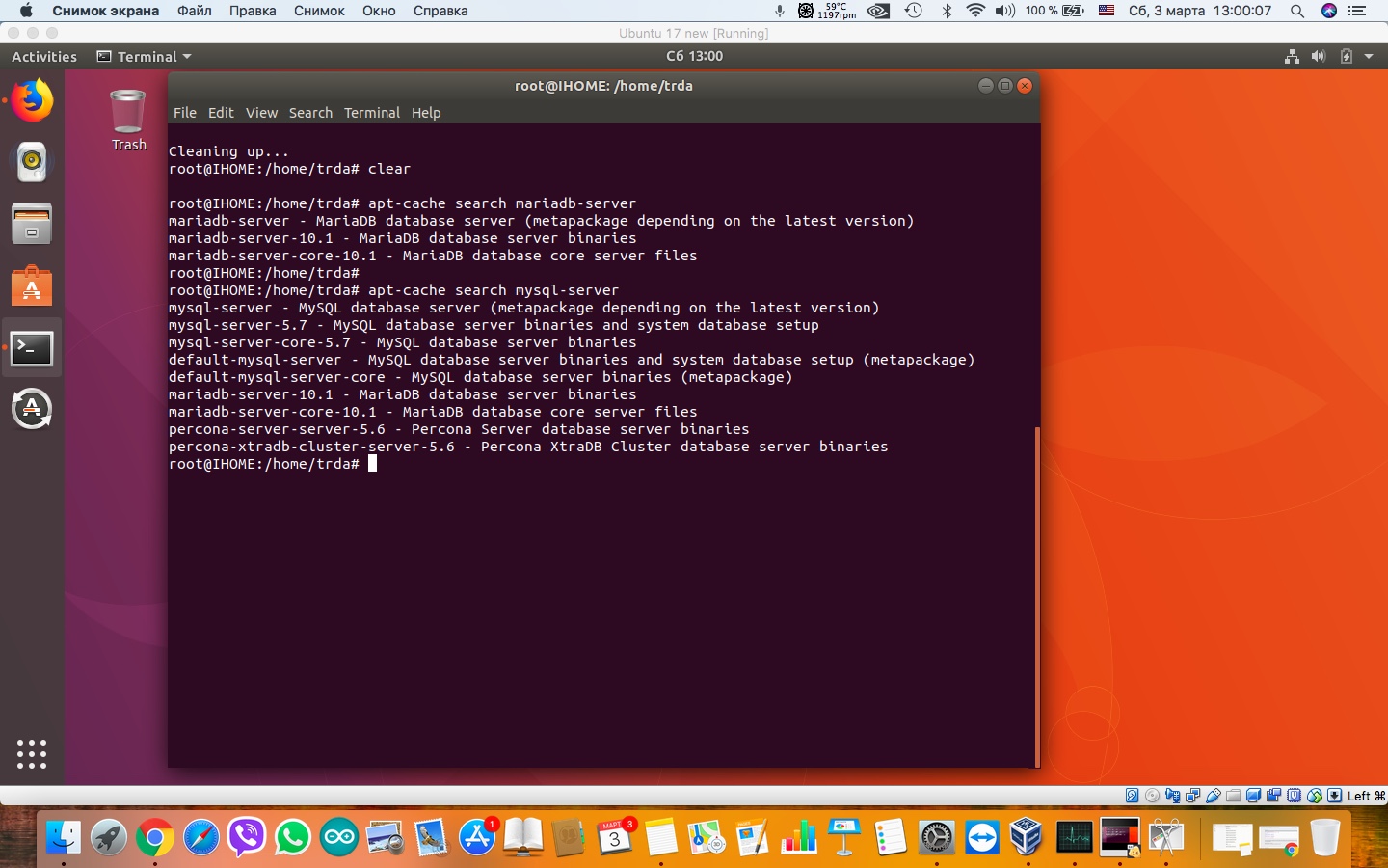 ubuntu 17 md.jpeg